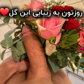Telegram sticker 🌹 @stkirr 👈منبع استیکر+۱۸ funsex