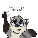 Video sticker 😅 Procyon