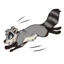 Video sticker 😀 Procyon