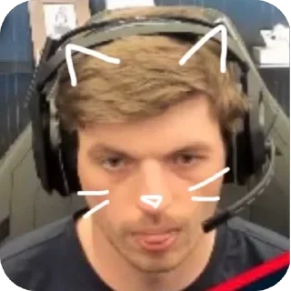 Telegram stiker 😺 Спустили в Максика ➡️ @Ctikerubot