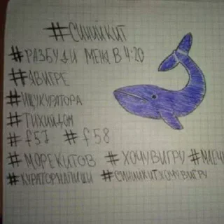 Video sticker 🌟 calengod @avecalen :: @fStikBot