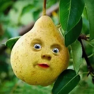 Телеграм стикер 😮 груши