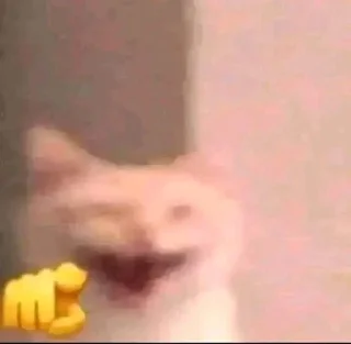 Video sticker 🌟 @thzkjsxyz :: @fStikBot