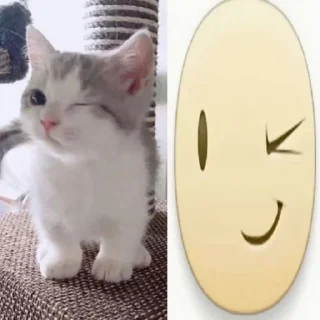 Telegram sticker 🤩 Бебра @MoiStikiBot