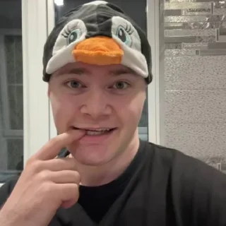 Video sticker 🤩 Бебра @MoiStikiBot