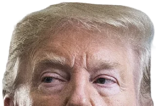 Video sticker 😱 Pick up a man @stickersb2b