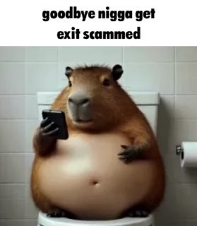 Video sticker 🌟 Goodbye Nigga :: @fStikBot