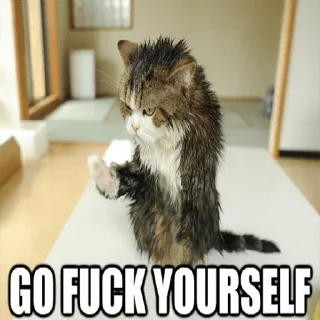 Telegram sticker 😤 @EnglishChatGlobal fuk you