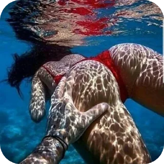 Video sticker 🐦 BEBEHOT