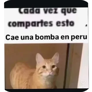 Telegram sticker 🐱 Sin nombre