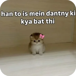 Video sticker 👍 Cupcake 💗👀