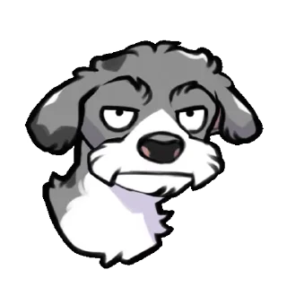 Video sticker 🙄 Dogs @stickerstgrm