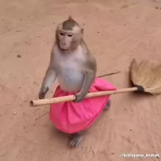 Video sticker 🌟 @Jessica_Spencer Shally