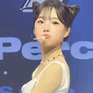 Video sticker 👻 한녀갤콘251113 @DCConSticker