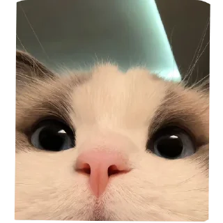 Video sticker 🔳 @m_d_ph1447