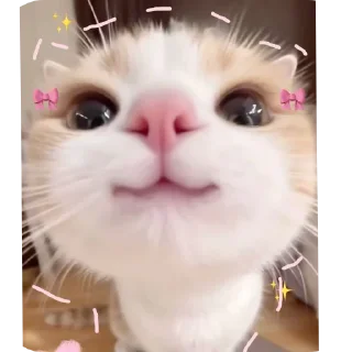 Sticker 🔳 @m_d_ph1447