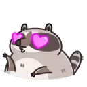 Video sticker 😘 Racoon