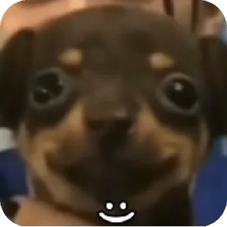 Telegram sticker 🐶 Alec Memes Pack