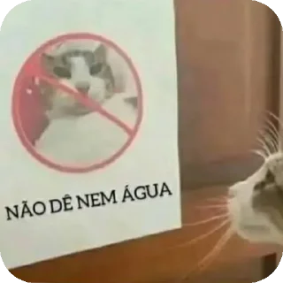 Video sticker 🥵 Alec Memes Pack