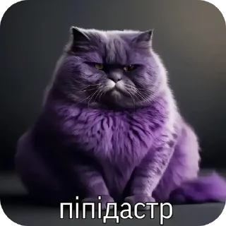 Телеграм стикер 🐱 пiпiдастрi