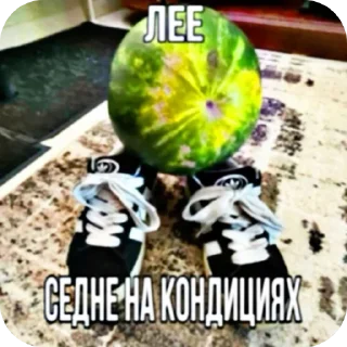 Video sticker 🖼 пiпiдастрi