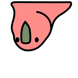 Telegram stiker 🇦🇺 loro @emojique
