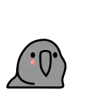 Video sticker 😢 loro @emojique
