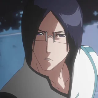 Video sticker ➡️ Bleach @netherush @TodorokiShouto