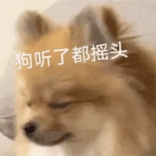 Video sticker 😊 北京电报群 @BJTGQ @BJBJBJ