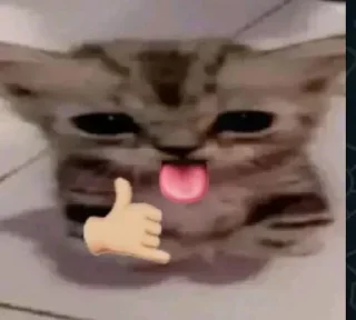 Telegram sticker 🤔 BATMAN !'s sticker pack (@Shinobu_robot)