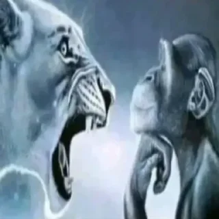 Sticker 😊 pics oat