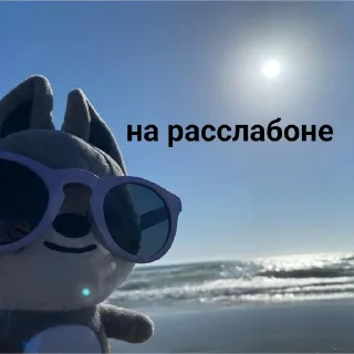 Video sticker ☀️ skzoo