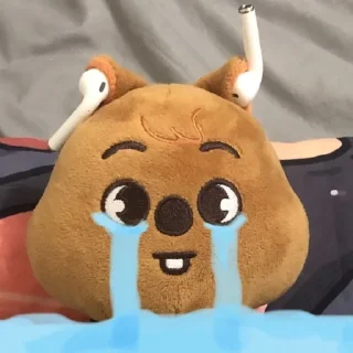 Video sticker 😭 skzoo