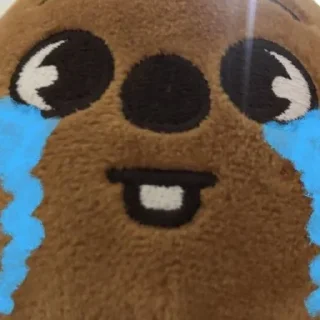 Video sticker 😭 skzoo