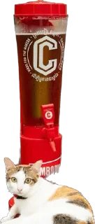 Телеграм стикер 🍺 ធុងទឹកកក - 🥕Nati