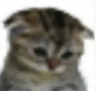 Telegram sticker 😔 @willuji)