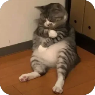 Video sticker 💔 K🐈‍⬛