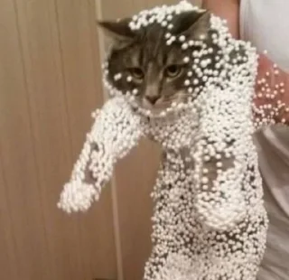 Telegram sticker 🫠 K🐈‍⬛