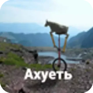 Video sticker ⛰ я чё ебабля @kalamburiaa