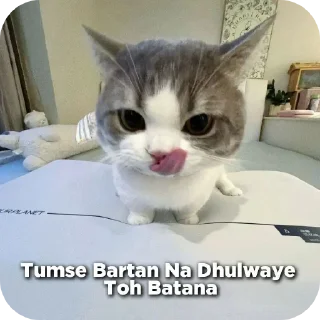 Telegram sticker 🐱 ❥≛⃝🇦‌𝐬𝐡𝐮❱ ̶͢ ̶❥