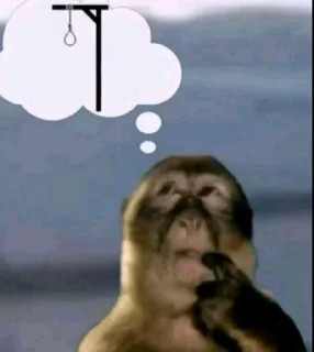 Телеграм стикер 🌟 джанета кор