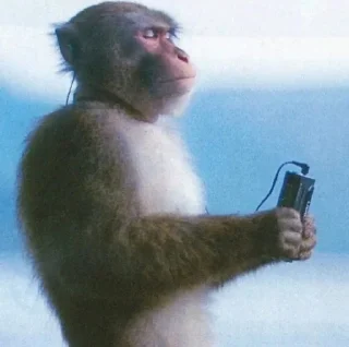 Телеграм стикер 🌟 джанета кор