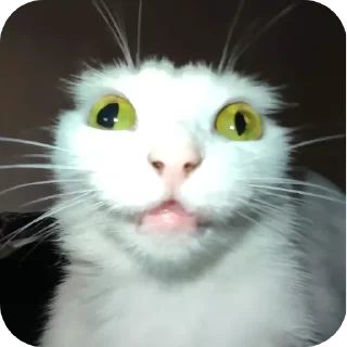 Телеграм стикер 😨 Помидор