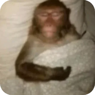 Telegram sticker 🤲 twozinPack