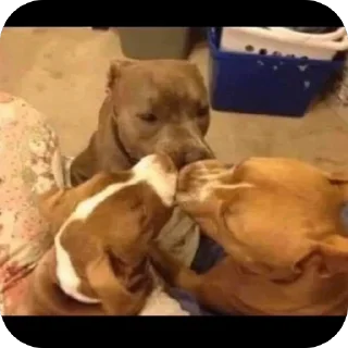 Telegram sticker 🫥 @wlmnndrs1