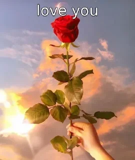 Telegram sticker 🌹 The_Queen