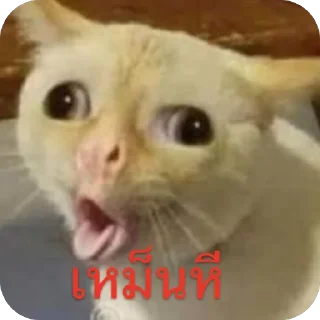 Telegram sticker 🫥 @balos59