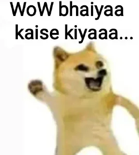 Video sticker 🐶 Ankit's special