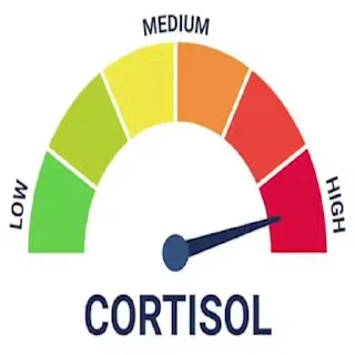 Video sticker 😡 Low Cortisol @pyo_fr