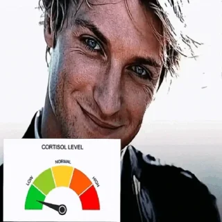 Video sticker 😀 Low Cortisol @pyo_fr